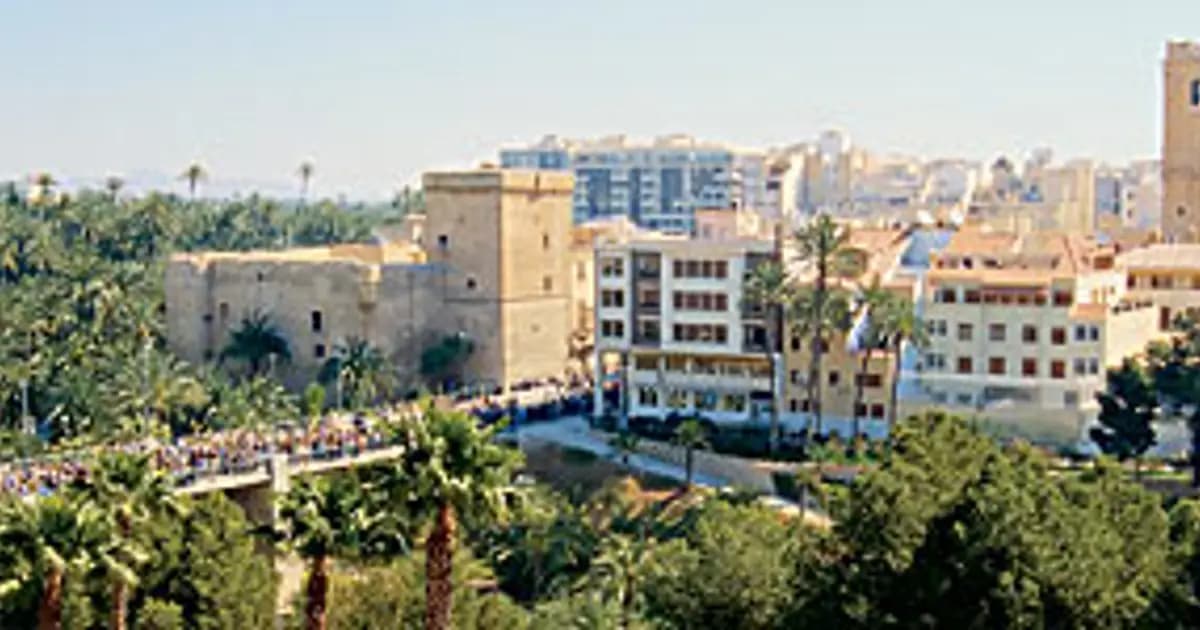 Vista de Elche