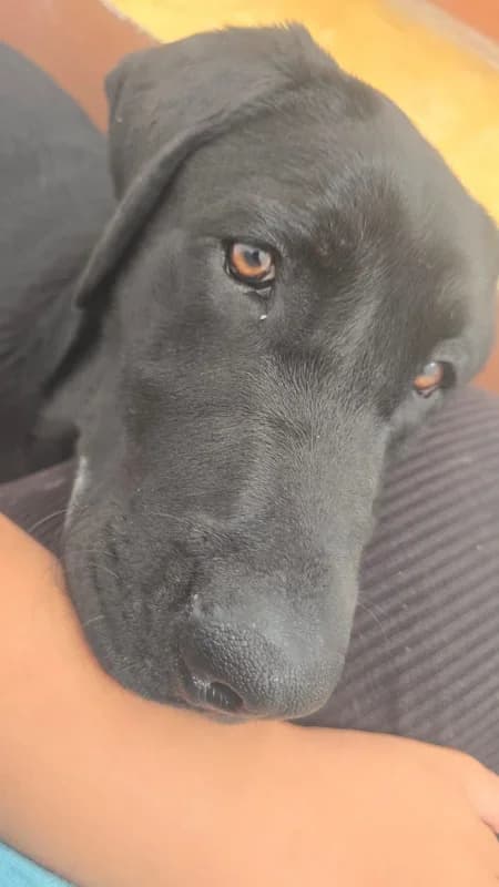 Asunción Aparicio Suárez