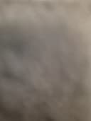 Ruben