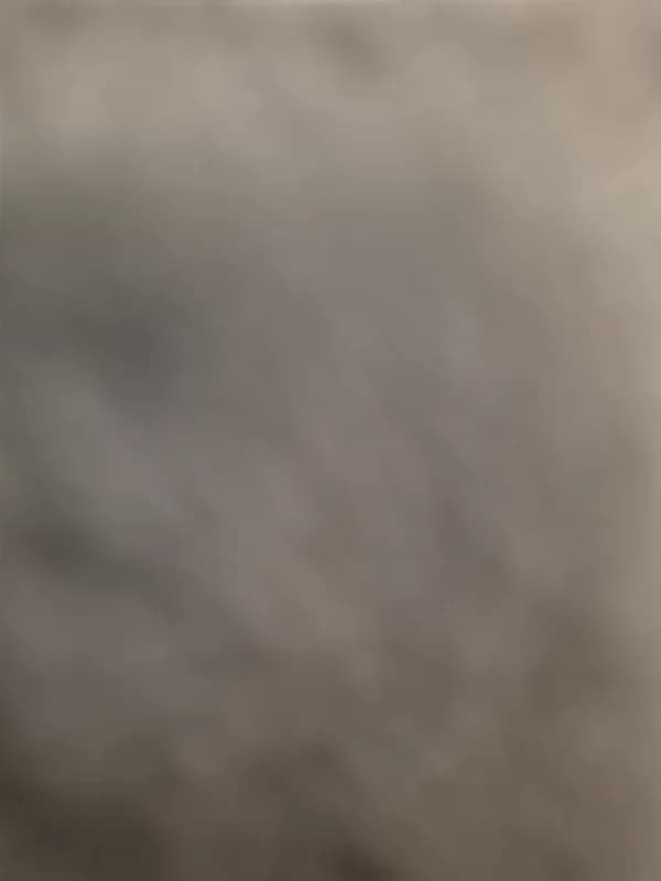 Ruben