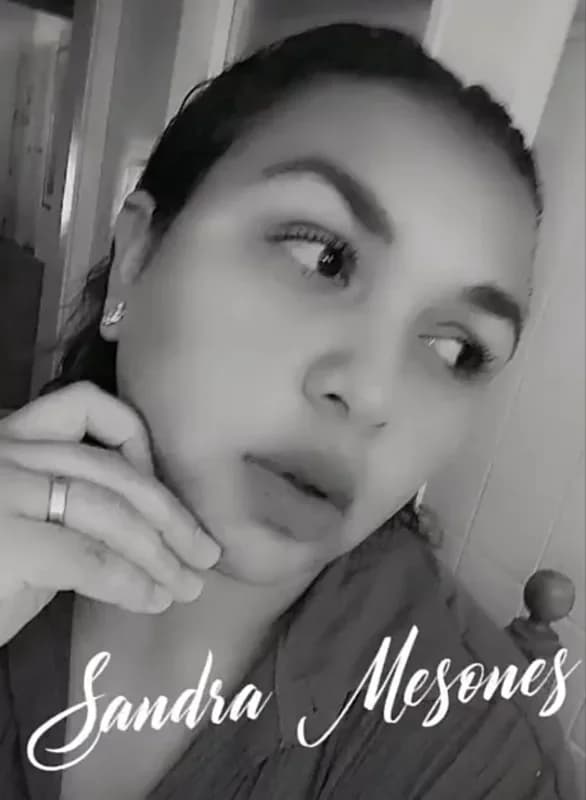 Sandra Estela Mesones González
